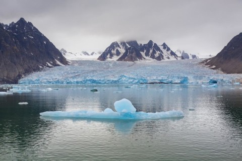 Ice floe in front of Monacobreen