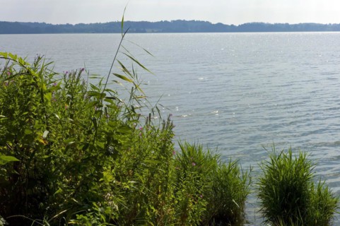The lake Windebyer Noor