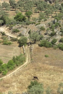 Agriculture