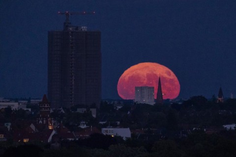 The so-called strawberry moon stands out at the rise next to the Steglitzer roundabout in Berlin