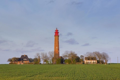 Fluegge