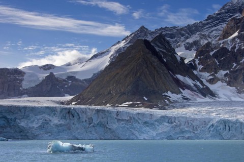 Samarinbreen glacier calving into Samarinvagen