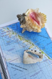 Map of the Great Bahama Bank with Conch Shell