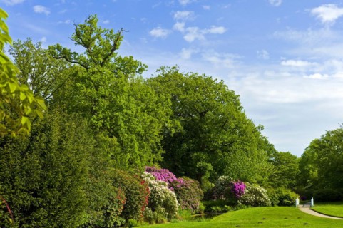 Luetetsburg Castle Castle Park