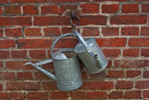 Zinc watering cans on a brick wall