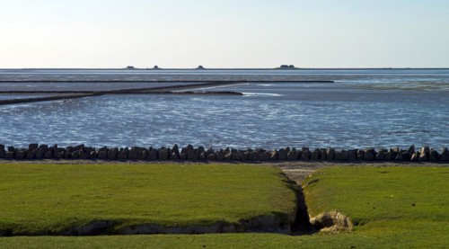 View from the island of Nordstrand to the Hallig Nordstrandischmoor
