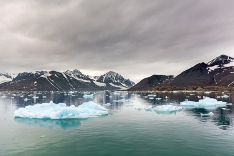 Ice floe in front of Monacobreen