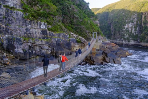 Suspension Bridge