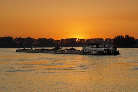 Freighter on the Rhine in the evening