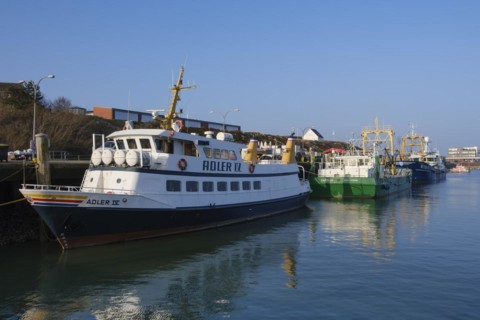 Ships in the harbour