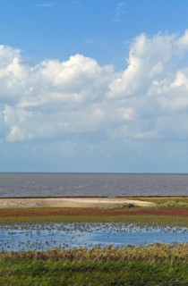 Wadden Sea at high tide
