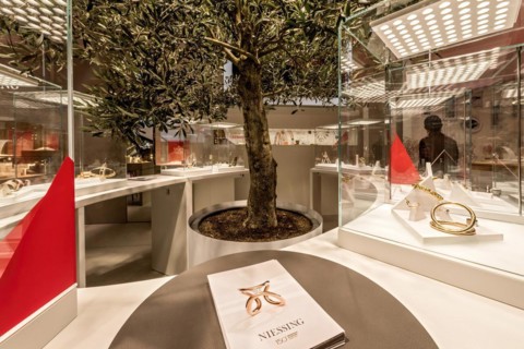 Olive tree in the stand of Juwelier Niessing