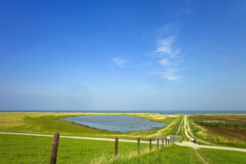 Salt marshes and beach at Schillig