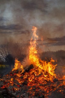 Fire