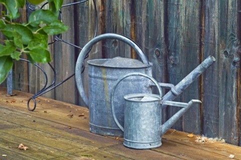 Two zinc watering cans