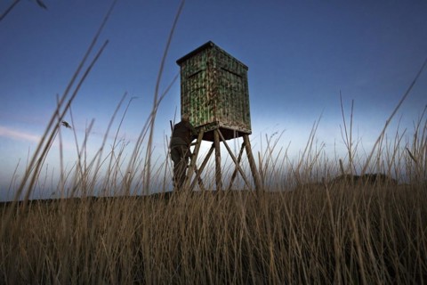 Hunter at a raised hide