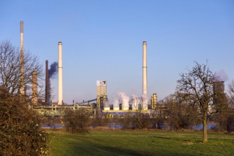 Rheinaue Binsheim