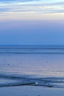 Evening light in the mudflats on the Dollart