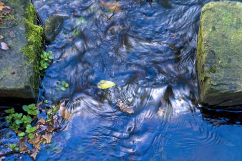 Narrows of a narrow stream with water flow and stones