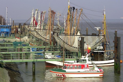 Wesermarsch Butjadingen Fedderwardersiel Harbour Ships