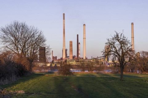 Rheinaue Binsheim