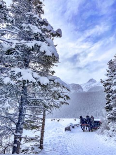 Horse-drawn carriage at the frozen mountain lake Lake Louise near Chateau Lake Louise