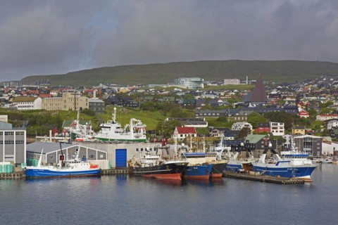 Fishing boats in the port