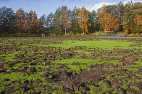 Ruined football field