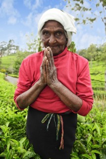 Elderly tea picker with hands folded in salute