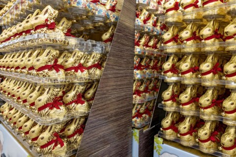 Many chocolate Easter bunnies