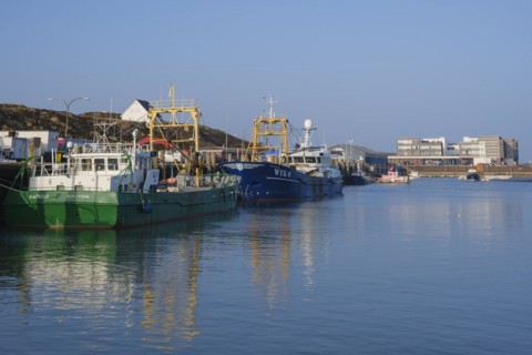Ships in the harbour