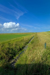 Drainage ditch behind the North Sea dike