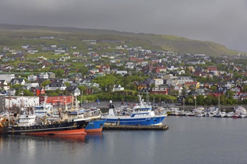 Fishing boats in the port