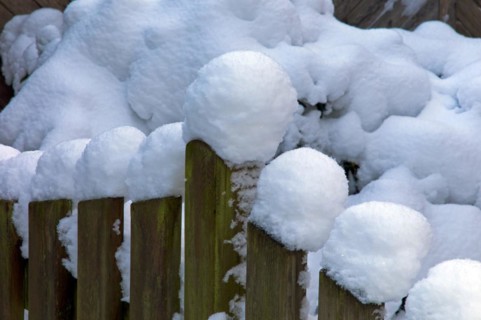Wooden fence with snow bonnets