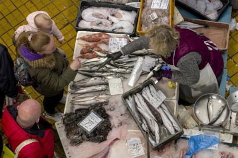 Birds eye view colour photo of a stall full of different fish