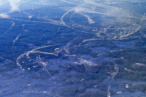 Skaters tracks