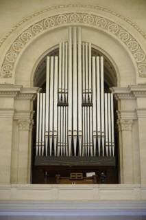 Organ