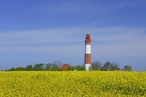Lighthouse Fluegge