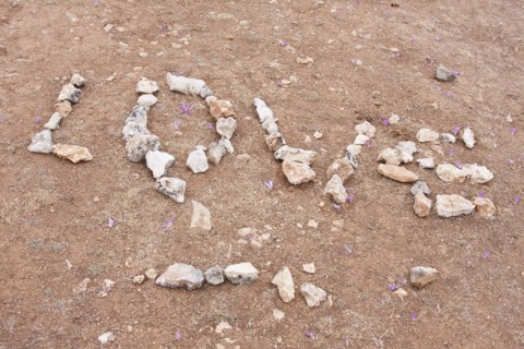 Love on the Matagrande plateau