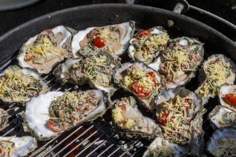 Wild oysters
