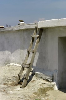 House with ladder