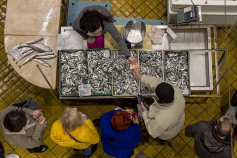 Birds eye colour photo of a stall full of sardines with the seller and a buyer