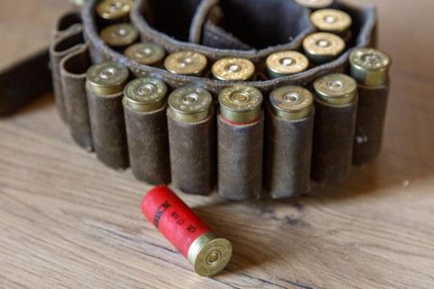 Cartridge belt with shotgun ammunition calibre 12