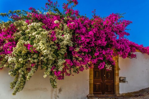 Lachania village