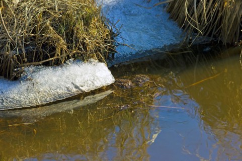 Ice remains at the edge of a watercourse