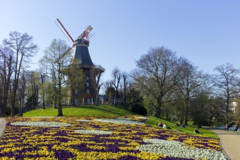The Mill on the Wall