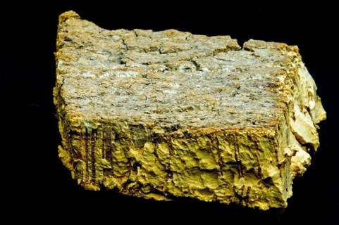 Cork bark