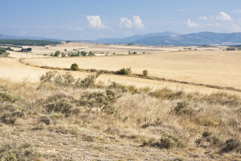 Great expanse in front of Ages