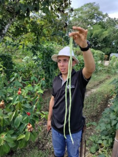 La Fortuna