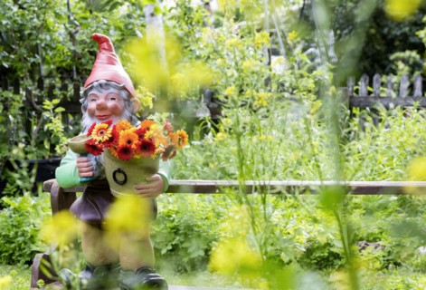 Large garden gnome with flowers in a garden